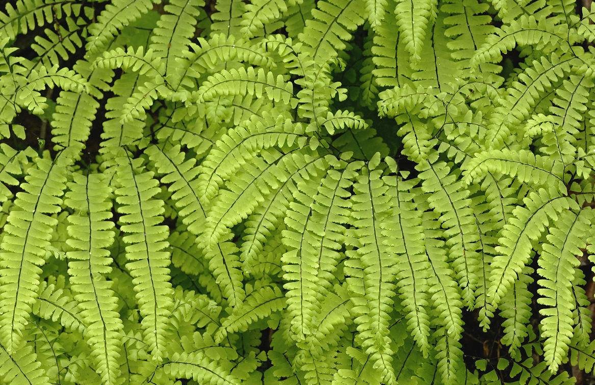 成都環(huán)保裝飾公司 成都環(huán)保裝飾公司