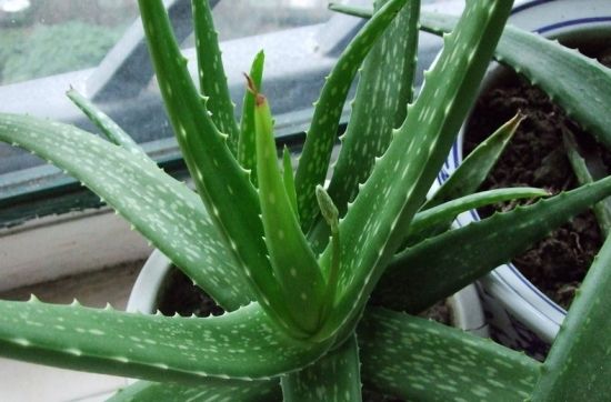 成都環(huán)保裝飾公司 成都環(huán)保裝飾公司