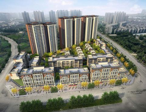 花樣年龍年中心--團(tuán)裝活動