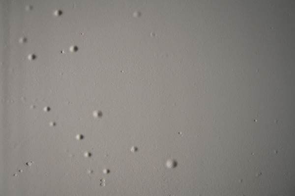 成都助手公司 成都助手公司